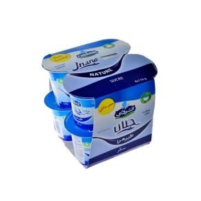 Yogurt Eco jnane nature sugar pack 8x110g